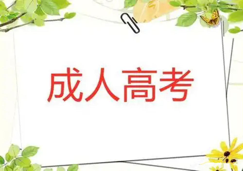 网站图片290webp.webp.png