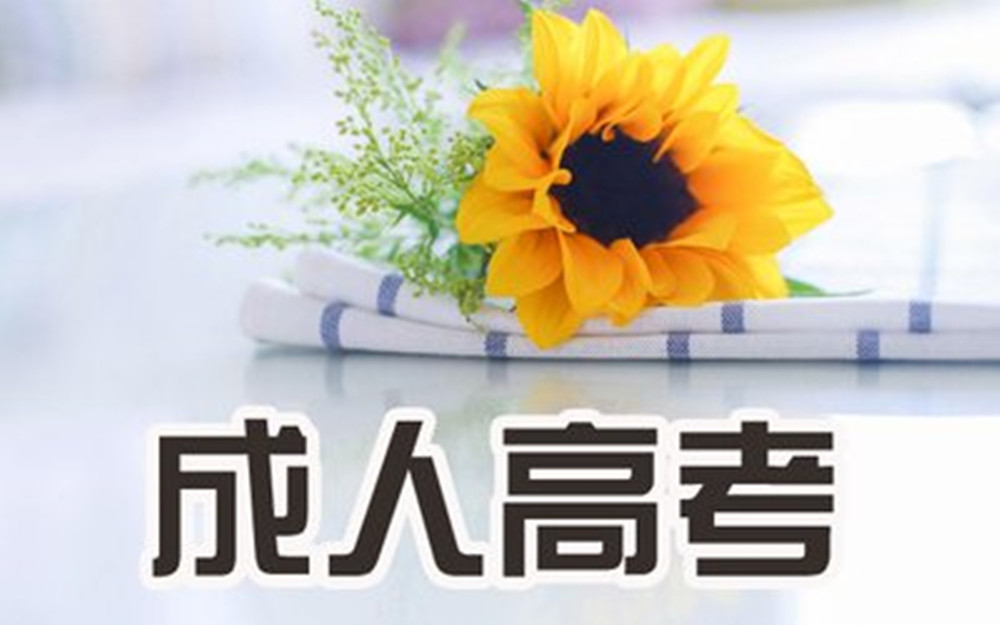网站图片900.jpg