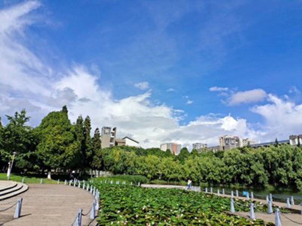 网站图片1022.jpg