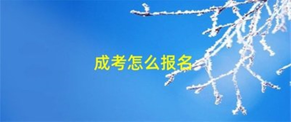 网站图片2048.jpg