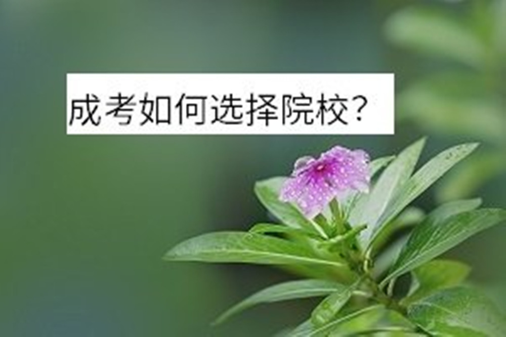 网站图片2119.jpg
