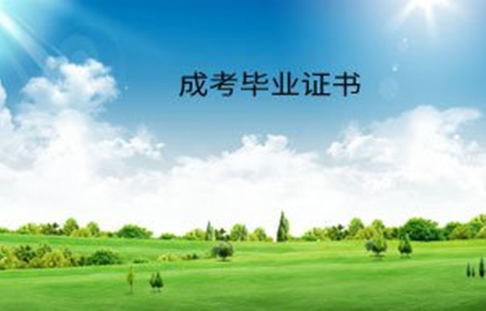 1792389522418659.jpg 网站图片2128.jpg