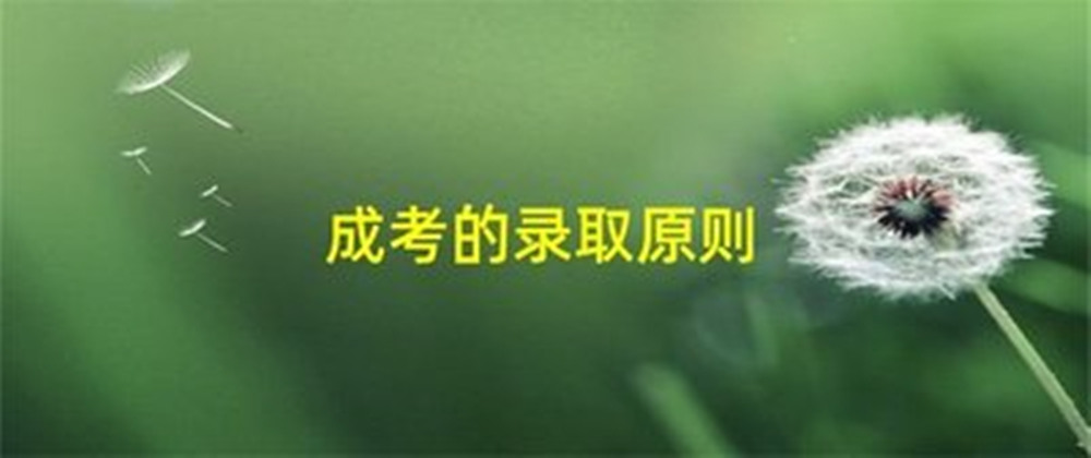 网站图片2159.jpg