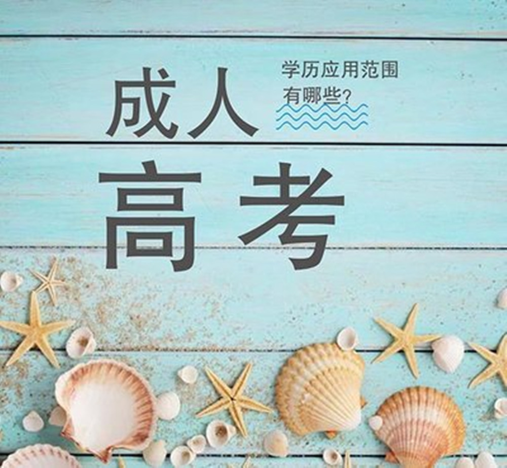 1793240393660047.jpg 网站图片2202.jpg