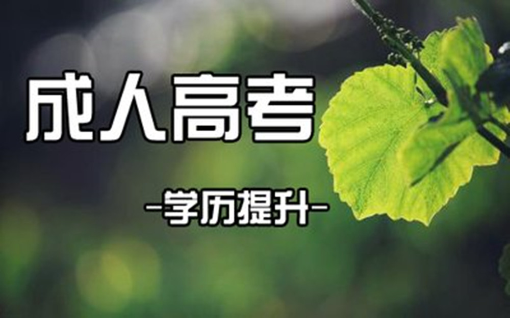 1793429335856948.jpg 网站图片2223.jpg